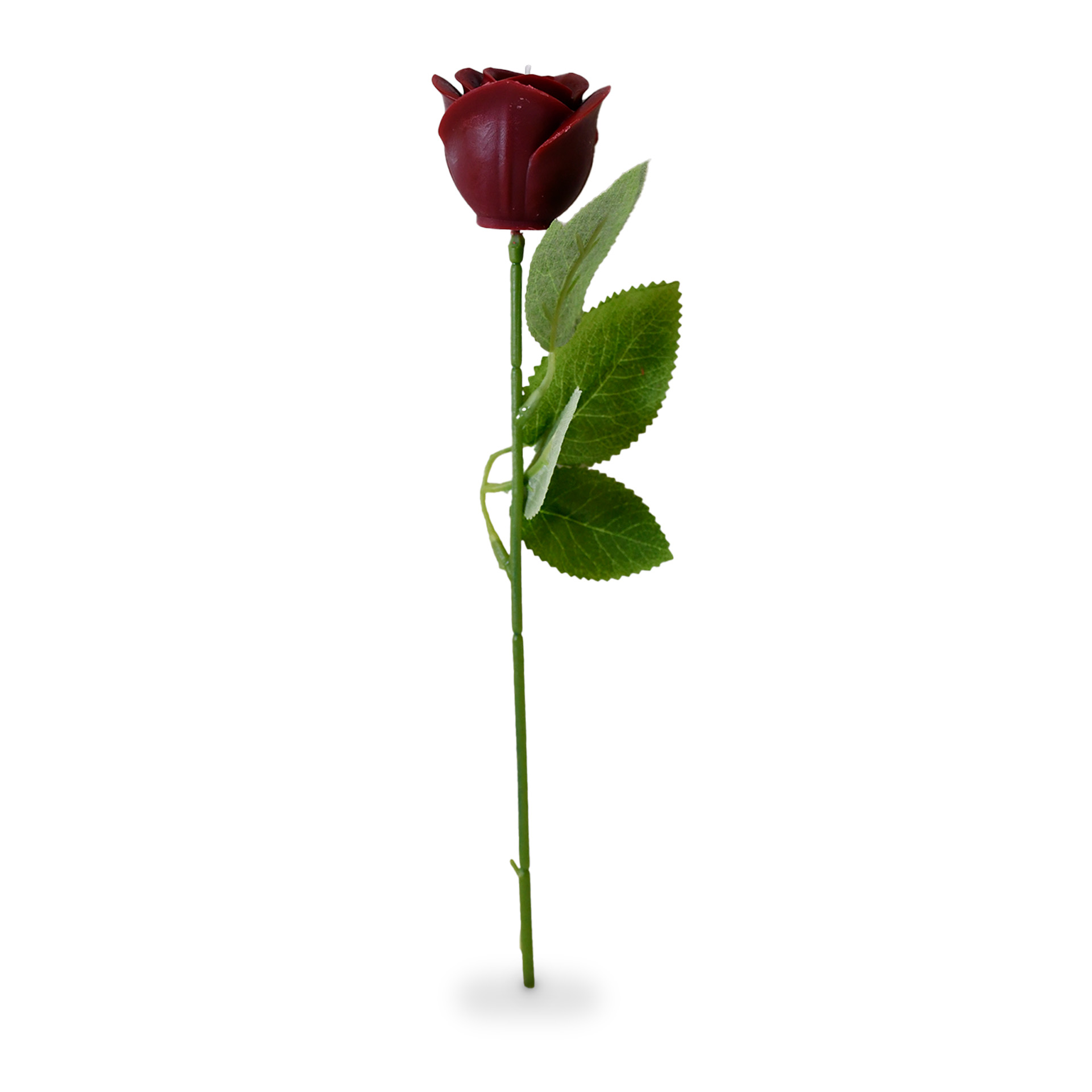 single rose